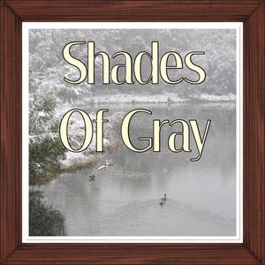 A perfect 5-star seller rating!